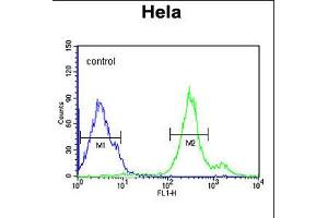 Flow cytometric analysis of Hela cells (right histogram) compared to a negative control cell (left histogram). (Cytochrome C1 anticorps  (C-Term))