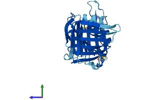 AlphaFold protein structure predicition of Mouse Recombinant Rad1 Protein, UniprotID Q9QWZ1