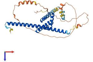 AlphaFold protein structure predicition of Human Recombinant FSBP Protein, UniprotID O95073
