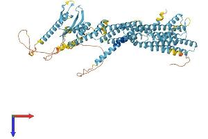 AlphaFold protein structure predicition of Mouse Recombinant Exoc8 Protein, UniprotID Q6PGF7
