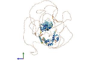 AlphaFold protein structure predicition of Mouse Recombinant Caskin2 Protein, UniprotID Q8VHK1
