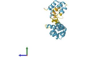 AlphaFold protein structure predicition of Human Recombinant FADD Protein, UniprotID Q13158
