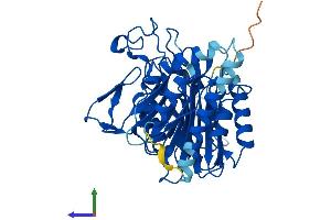 AlphaFold protein structure predicition of Mouse Recombinant Scrn2 Protein, UniprotID Q8VCA8