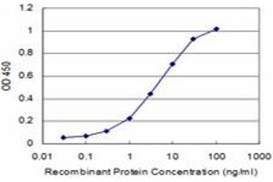 Detection limit for recombinant GST tagged PRL is approximately 0. (Prolactin anticorps  (AA 29-227))