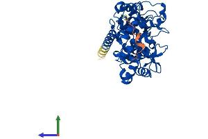 AlphaFold protein structure predicition of Human Recombinant PGGT1B Protein, UniprotID P53609