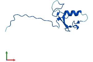 AlphaFold protein structure predicition of Human Recombinant ANAPC11 Protein, UniprotID Q9NYG5