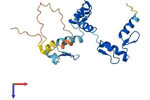 AlphaFold protein structure predicition of Human Recombinant ZNF876P Protein, UniprotID Q49A33