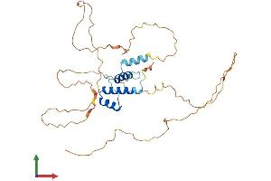 AlphaFold protein structure predicition of Human Recombinant SSBP2 Protein, UniprotID P81877