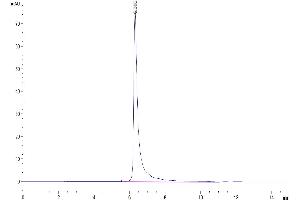 The purity of Human IGF1R is greater than 95 % as determined by SEC-HPLC.