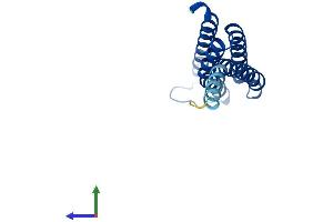 AlphaFold protein structure predicition of Mouse Recombinant Ltc4s Protein, UniprotID Q60860