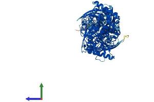 AlphaFold protein structure predicition of Mouse Recombinant Hkdc1 Protein, UniprotID Q91W97