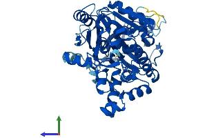 AlphaFold protein structure predicition of Human Recombinant NSUN6 Protein, UniprotID Q8TEA1