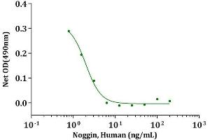 Noggin, Human inhibit BMP-4 induced alkaline phosphatase production in ATDC-5 cells.