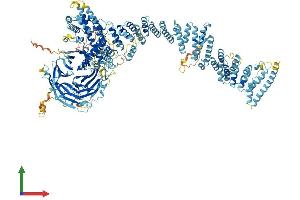 AlphaFold protein structure predicition of Human Recombinant NUP160 Protein, UniprotID Q12769