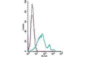 Cell surface detection of GPR108 by indirect flow cytometry in live intact mouse  microglia cell line: + goat-anti-rabbit-FITC. (GPR108 anticorps  (Extracellular))