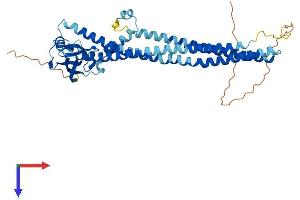 AlphaFold protein structure predicition of Mouse Recombinant Pick1 Protein, UniprotID Q62083