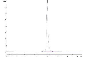 The purity of Biotinylated Human Nectin-4 IgV Domain is greater than 95 % as determined by SEC-HPLC.