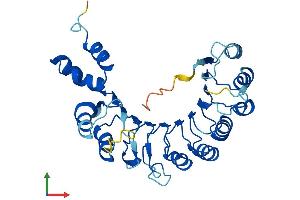 AlphaFold protein structure predicition of Human Recombinant FBXL12 Protein, UniprotID Q9NXK8