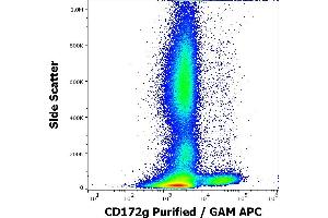 Flow cytometry surface staining pattern of human peripheral whole blood stained using anti-human CD172g (OX-119) purified antibody (concentration in sample 1,7 μg/mL, GAM APC). (SIRPG anticorps)