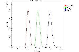 Flow Cytometry analysis of HepG2 cells using anti-TET1 antibody (ABIN7600442). (TET1 anticorps  (AA 194-417))
