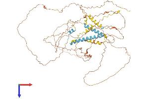 AlphaFold protein structure predicition of Mouse Recombinant Troap Protein, UniprotID B7ZNG4