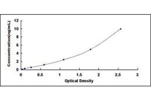 Typical standard curve (KRT4 Kit ELISA)