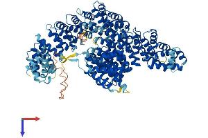 AlphaFold protein structure predicition of Mouse Recombinant Ipo4 Protein, UniprotID Q8VI75