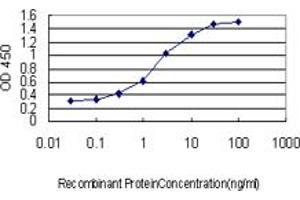 Detection limit for recombinant GST tagged STAR is approximately 0. (STAR anticorps  (AA 81-180))