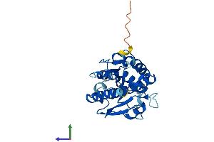 AlphaFold protein structure predicition of Human Recombinant OLAH Protein, UniprotID Q9NV23
