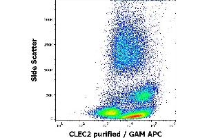 Flow cytometry surface staining pattern of human peripheral whole blood stained using anti-human CLEC2 (AYP1) purified antibody (concentration in sample 1,7 μg/mL, GAM APC).