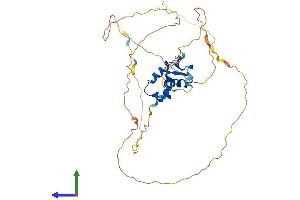 AlphaFold protein structure predicition of Mouse Recombinant Foxf1 Protein, UniprotID Q61080