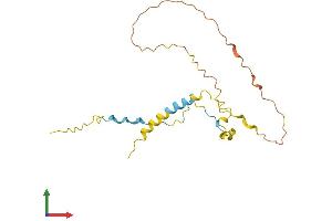 AlphaFold protein structure predicition of Human Recombinant ANXA2R Protein, UniprotID Q3ZCQ2