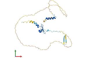 AlphaFold protein structure predicition of Human Recombinant PHF13 Protein, UniprotID Q86YI8