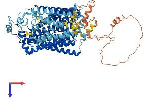 AlphaFold protein structure predicition of Human Recombinant SLC5A3 Protein, UniprotID P53794