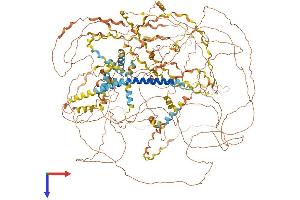 AlphaFold protein structure predicition of Mouse Recombinant Col17a1 Protein, UniprotID Q07563