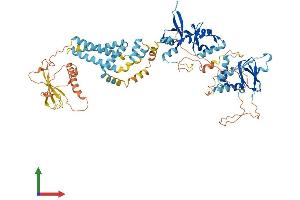 AlphaFold protein structure predicition of Human Recombinant CNNM3 Protein, UniprotID Q8NE01