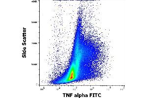 Flow cytometry intracellular staining pattern of human PHA stimulated peripheral blood mononuclear cells stained using anti-human TNF alpha (MAb11) FITC antibody (4 μL reagent per milion cells in 100 μL of cell suspension). (TNF alpha anticorps  (FITC))