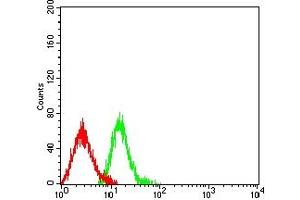 Flow cytometric analysis of HL-60 cells using CD61 mouse mAb (green) and negative control (red). (Integrin beta 3 anticorps  (AA 27-179))