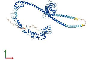 AlphaFold protein structure predicition of Mouse Recombinant Traf3 Protein, UniprotID Q60803