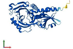 AlphaFold protein structure predicition of Human Recombinant DAO Protein, UniprotID P14920