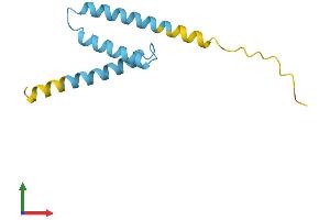 AlphaFold protein structure predicition of Human Recombinant LRRC37A5P Protein, UniprotID Q49AS3