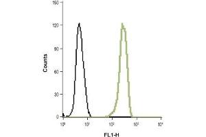 Indirect flow cytometry analysis of fixed and permeabilized HL-60 (human promyelocytic leukemia cells) cell line: (black line) Unstained cells + goat-anti-rabbit-FITC. (HVCN1 anticorps  (Intracellular, N-Term))