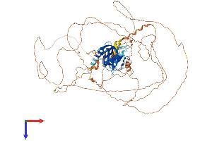 AlphaFold protein structure predicition of Human Recombinant MAPK8IP2 Protein, UniprotID Q13387