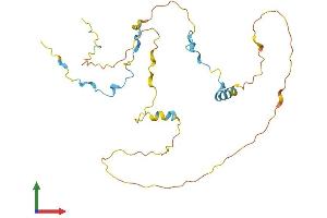 AlphaFold protein structure predicition of Human Recombinant CDCA3 Protein, UniprotID Q99618