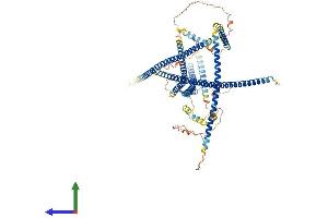 AlphaFold protein structure predicition of Human Recombinant MCC Protein, UniprotID P23508