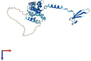 AlphaFold protein structure predicition of Human Recombinant TCEA1 Protein, UniprotID P23193