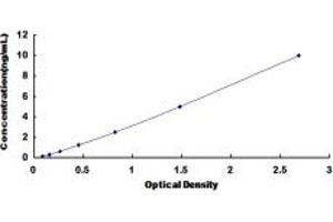Typical standard curve (CCKBR Kit ELISA)