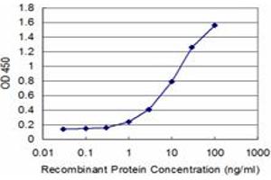 Detection limit for recombinant GST tagged SMAD7 is approximately 1ng/ml as a capture antibody. (SMAD7 anticorps  (AA 160-260))