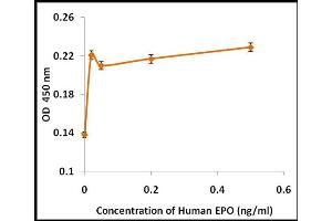 Activity Assay (AcA) image for Erythropoietin (EPO) (Active) protein (ABIN5509957) (EPO Protéine)