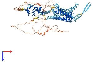 AlphaFold protein structure predicition of Mouse Recombinant Kcnc4 Protein, UniprotID Q8R1C0